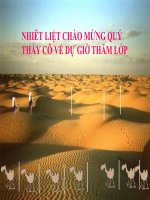 Bài giảng điện tử   bài  thiên nhiên châu phi, địa lý tự nhiên lớp 7