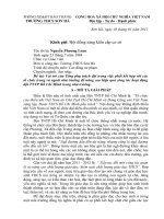 Báo cáo sáng kiến Vai trò của Tổng phụ trách đội trong việc phối kết hợp với các tổ chức trong và ngoài nhà trường để nâng cao hiệu quả công tác hoạt động đội TNTP Hồ Chí Minh trong nhà trường