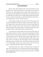 Kế toán nguyên vật liệu - công cụ dụng cụ trong doanh nghiệp” tại Công ty Cổ phần Đầu Tư Phát Triển và Xây Lắp K & N