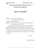 Luận văn phát triển dịch vụ hỗ trợ bán hàng tại công ty cổ phần PiCO