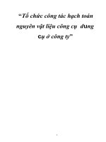 phân tích thực trạng kế toán nguyên vật liệu ở Công ty Cổ phần PROFIPAK