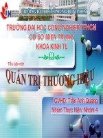 tiểu luận các yếu tố ảnh hưởng đến thành công của thương hiệu