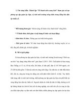 SÁNG KIẾN KINH NGHIỆM Thành lập “Tổ thanh niên xung kích” tham gia cải tạo phong tục tập quán lạc hậu, vệ sinh môi trường nông thôn trong đồng bào dân tộc thiểu số