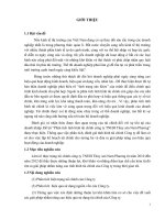 luận văn tốt nghiệp  Luận Văn Phân tích tình hình tài chính công ty TNHH Thủy sản Nam Phương