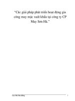 Các giải pháp phát triển hoạt động gia công may mặc xuất khẩu tại công ty CP May Sơn Hà