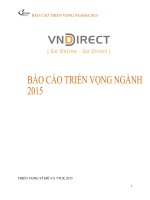 BÁO cáo TRIỂN VỌNG NGÀNH 2015