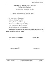 SKKN Giải pháp chỉ đạo nâng cao chất lượng công tác bình đẳng giới và Vì sự tiến bộ của phụ nữ tại các xã, thị trấn