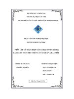 Phân lập và nhận diện nấm Collectotrichum sp. gây bệnh thán thư trên cây ăn quả và rau màu