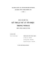 TIỂU LUẬN MÔN CÔNG NGHỆ VỆ TINH KỸ THUẬT XỬ LÝ TÍN HIỆU TRONG WIMAX