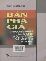 Bán phá giá. Phương pháp xác định mức phá giá và mức độ thiệt hại