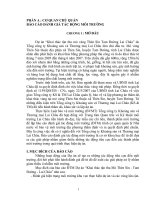 Báo cáo môi trường: Dự án khai thác tận thu mỏ vàng Thèn Sin  Tam Đường  Lai Châu