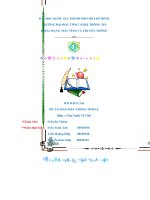 BÀI BÁO CÁO ĐỀ TÀI BẢO MẬT TRONG WIMAX