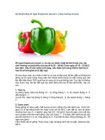 Kỹ thuật trồng cây ớt ngọt an toàn