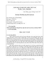 Báo cáo sáng kiến Một số giải pháp tạo hứng thú học tập môn lịch sử cho học sinh THCS