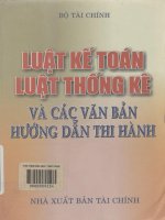 Luật kế toán, luật thống kê và các văn bản hướng dẫn thi hành