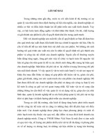 Hoàn thiện công tác kế toán nguyên vật liệu tại công ty TNHH Bibus Việt Nam