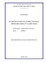 tóm tắt luận án tiến sĩ LÝ THUYẾT LƯỢNG TỬ VỀ HIỆU ỨNG HALL TRONG HỐ LƯỢNG TỬ VÀ SIÊU MẠNG