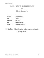 Phân tích môi trường ngành của may rèm cửa tại việt nam