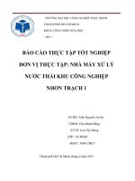 Báo cáo thực tập tại nhà máy xử lý nước thải khu công nghiệp nhơn trạch 1