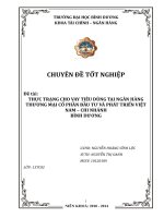 THỰC TRẠNG CHO VAY TIÊU DÙNG tại NGÂN HÀNG THƯƠNG mại cổ PHẦN đầu tư và PHÁT TRIỂN VIỆT NAM – CHI NHÁN binh dương