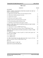 THỰC TRẠNG CÔNG  TÁC KẾ TOÁN NGUYÊN VẬT LIỆU Ở CÔNG TY TNHH THÀNH TRUNG