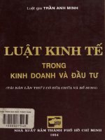 Luật kinh tế trong kinh doanh và đầu tư