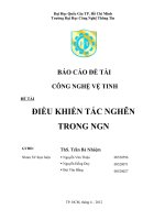 BÁO CÁO ĐỀ TÀI CÔNG NGHỆ VỆ TINH ĐIỀU KHIỂN TẮC NGHẼN TRONG NGN
