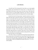 Phân tích doanh thu tại công ty cổ phần xuất nhập khẩu tổng hợp Đông Nam Á