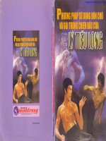 Phương pháp sử dụng đòn chỏ và gối của Lý Tiểu Long