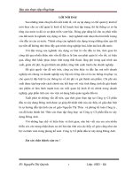 TỔ CHỨC CÔNG TÁC KẾ TOÁN, TÀI CHÍNH, PHÂN TÍCH KINH TẾ TẠI CÔNG TY CỔ PHẦN ĐẦU TƯ XÂY DỰNG ĐÔNG ANH