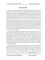 Hoàn thiện kế toán bán hàng và xác định kết quả bán hàng tại Công ty cổ phần viễn thông Gia Phát - Nhà hàng Cơm Niêu Bầu Bí