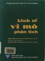 Kinh tế vĩ mô phân tích
