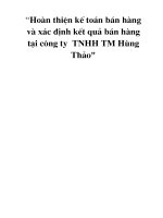 Hoàn thiện kế toán bán hàng và xác định kết quả bán hàng tại công ty  TNHH TM Hùng Thảo