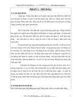 Báo cáo sáng kiến Nâng cao hiệu quả dạy học Tiếng Anh thông qua giảng dạy từ vựng theo hướng đổi mới