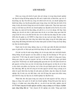 Tổ chức công tác kế toán nguyên vật liệu, công cụ dụng cụ ở Công ty cổ phần nam sông hồng đầu tư