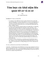 Tóm lược các khái niệm liên quan tới cơ và co cơ