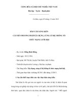 Sáng kiến Xây dựng, củng cố hệ thống tổ chức mạng lưới hội