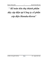 Kế toán tiêu thụ thành phẩm dây cáp điện tại Công ty cổ phần cáp điện Hanaka-Korea