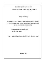 tóm tắt luận án NGHIÊN CỨU QUY TRÌNH TÁCH CHIẾT, PHÂN TÍCH ADN VÀ TẾ BÀO PHÔI THAI TỰ DO TRONG MÁU NGOẠI VI CỦA MẸ ĐỂ CHẨN ĐOÁN TRƢỚC SINH
