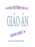 giáo án điện tử    bài đặc điểm bên ngoài của lá sinh học lơp 6