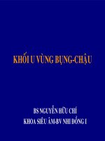 Giáo trình siêu âm khối u vùng bụng chậu, BS.Nguyễn Hữu Trí, khoa siêu âm bệnh viện nhi đồng I