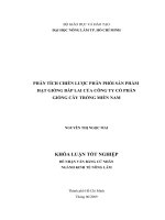 CHIẾN lược PHÂN PHỐI sản PHẨM bắp LAI