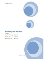 Tiểu luận môn học An ninh mạng Hacking USB Devices