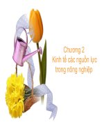 Bài giảng kinh tế nông nghiệp chương 2, kinh tế các nguồn lực trong nông nghiệp