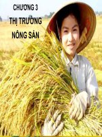 Bài giảng kinh tế nông nghiệp chương 3, Thị trường nông sản