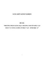 SKKN Phương pháp giảng dạy chương chuyển hóa vật chất và năng lượng ở thực vật - Sinh học 11