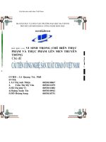 Cải tiến công nghệ sản xuất chao ở Việt Nam