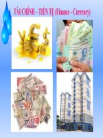 Tài chính tiền tệ - chương  1 - Những vấn đề cơ bản về tai chính tiền tệ