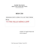 bài tập lớn đảm bảo chất lượng và luật thực phẩm - cá thu fille đông lạnh