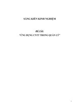 SKKN Về ứng dụng CNTT trong quản lý ở trường học